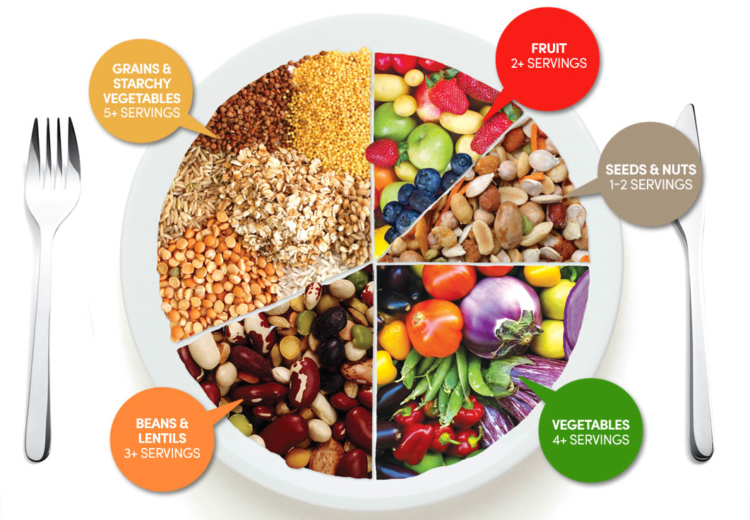 About Sprouts Diets